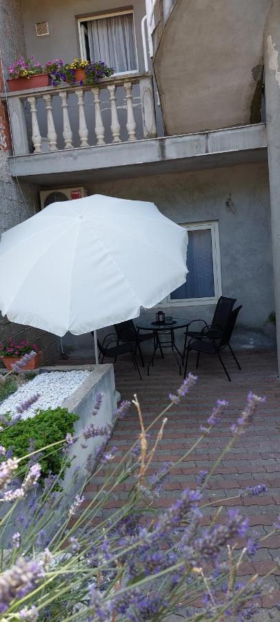 Apartman Marin - Zadar Eksteriør bilde
